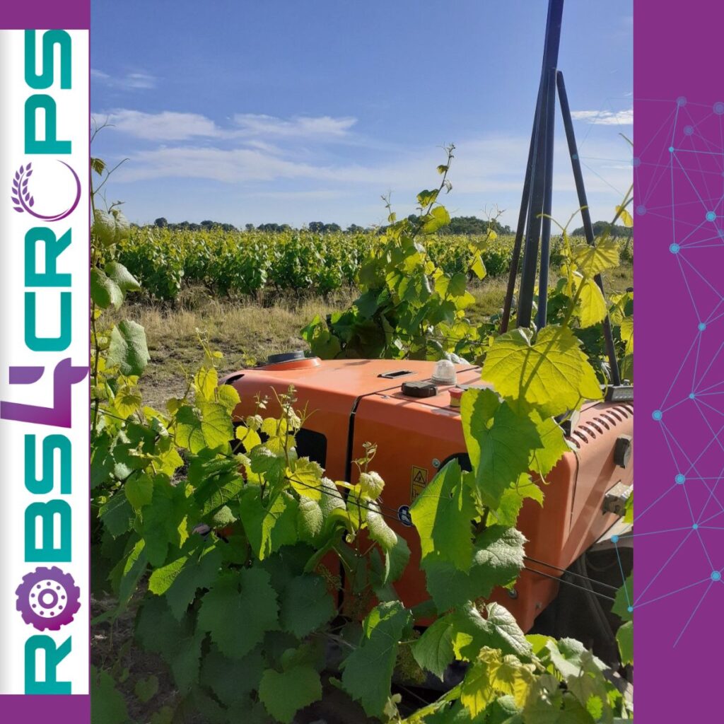 r4c-mechanical-weeding-in-vineyards