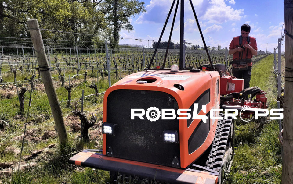 robs4crops robot in a grape field