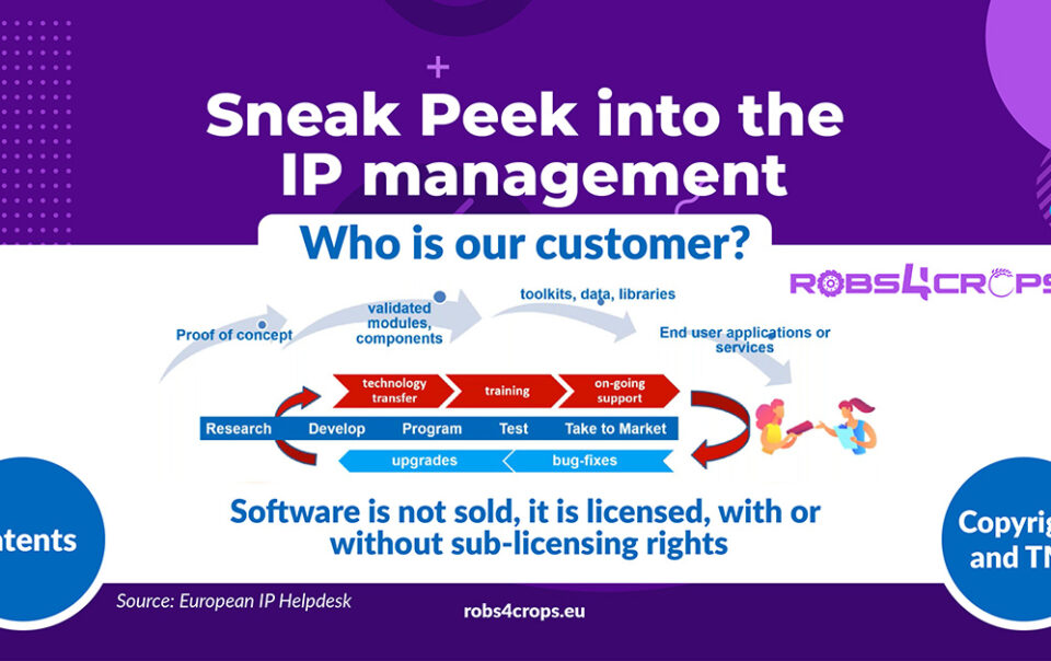 ip management