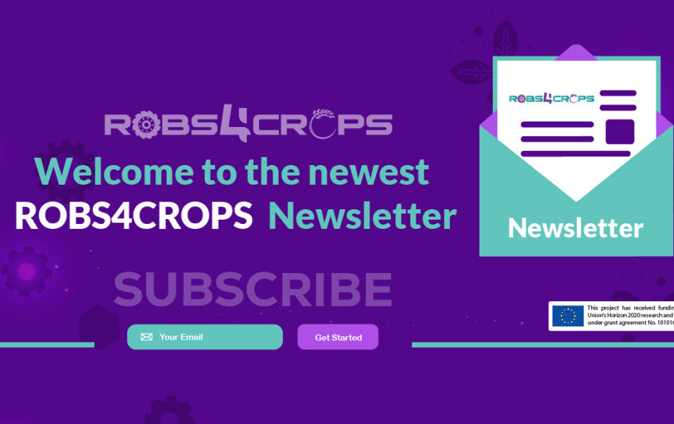 Robs4Crops newsletter 5