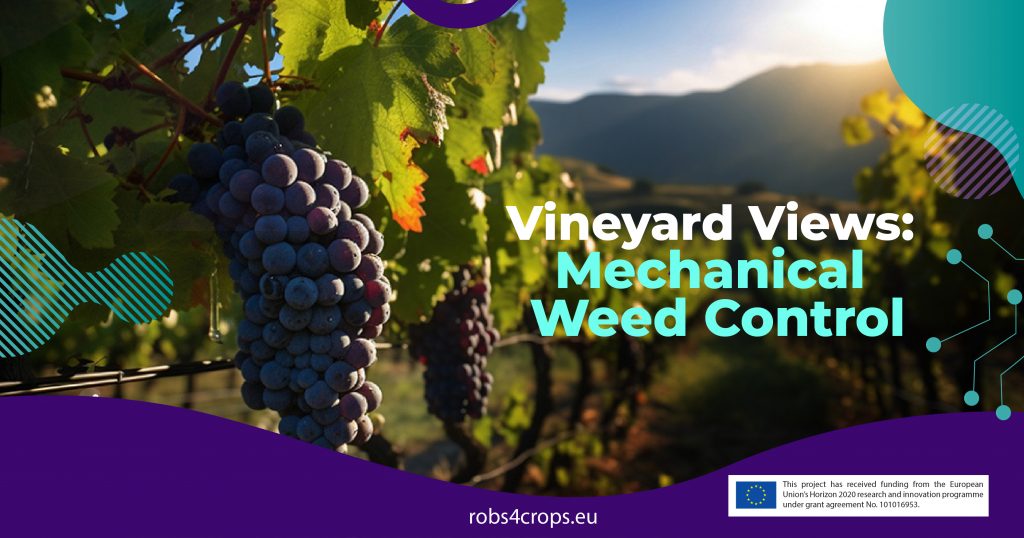 Mechanical Weeding in Vineyards