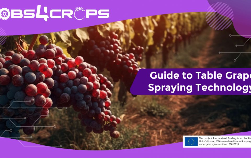 Image representing blog about advancements in table grape spraying technology