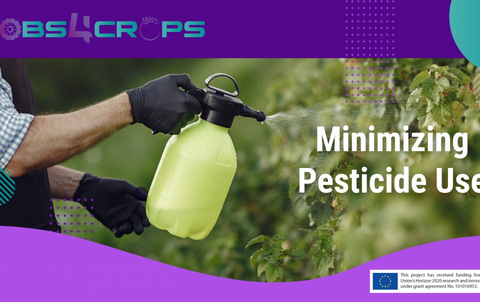 Tips for reducing pesticide use