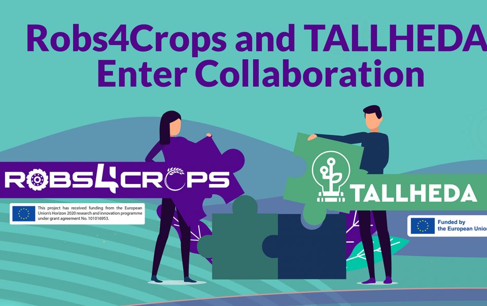 Visual about Robs4Crops and TALLHEDA entering collaboration